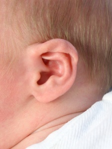 baby ears